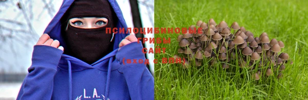 эйфоретик Алексеевка