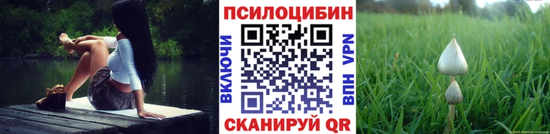 Псилоцибиновые грибы мухоморы  Новодвинск 